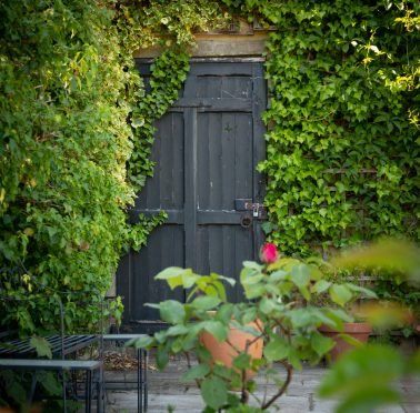 The Walled Garden