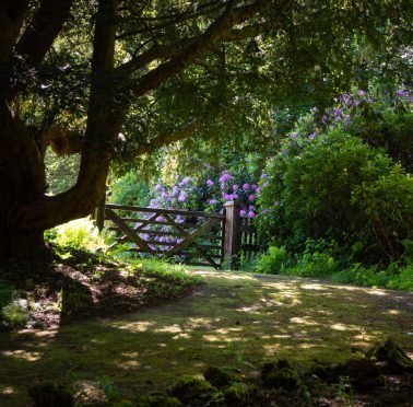 Entrance to Gardener's Cottage